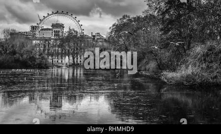 La vista in bianco e nero da St. James' Park con il famoso London Eye in background. Foto Stock