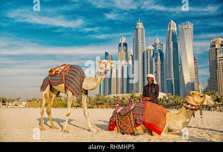 DUBAI, Emirati Arabi Uniti - 26 dicembre 2017: cammelli sui grattacieli in fondo alla spiaggia . Emirati Arabi Uniti Dubai Marina JBR beach stile: i cammelli e grattacieli. Foto Stock