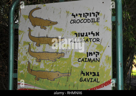 Crocodile Farm panatura a Hamat Gader, Golan, Israele, Hamat Gader ha 4 sorgenti di acqua minerale. Altre attrazioni sono un sito archeologico sit Foto Stock