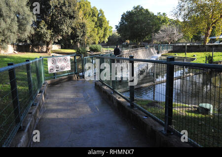 Crocodile Farm panatura a Hamat Gader, Golan, Israele, Hamat Gader ha 4 sorgenti di acqua minerale. Altre attrazioni sono un sito archeologico sit Foto Stock