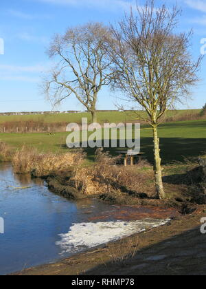 Una scena invernale al serbatoio, parzialmente congelato nei primi giorni di febbraio; Sywell Country Park, Northamptonshire Foto Stock