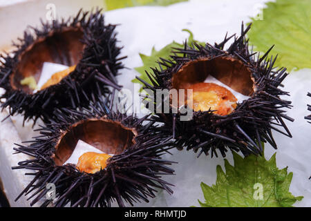 Il cibo giapponese. Ricci di mare. Fotografato in Osaka mercato alimentare, Osaka, Giappone Foto Stock