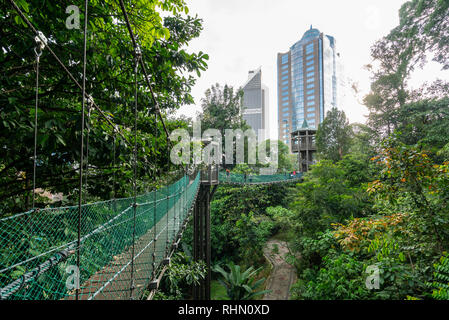 Vista della tettoia a piedi nella foresta di KL Eco Park di Kuala Lumpur in Malesia Foto Stock