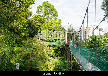 Vista della tettoia a piedi nella foresta di KL Eco Park di Kuala Lumpur in Malesia Foto Stock