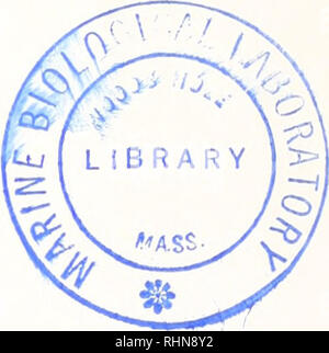 . Il bollettino biologico. Biologia; Zoologia; biologia; biologia marina. Il Biologico bollettino pubblicato dal laboratorio biologico marino Redazione John M. Anderson, Cornell University Robert K. JOSEPHSON, Università di California. Irvine ARTHUR L. COLWIN, Queens College di New York F. H. RUDDLE, Yale University DONALD P. COSTELLO, Università della Carolina del Nord BERTA SCHARRER, Albert Einstein College of Medicine PHILIP B. DUNHAM, Syracuse University MELVIN SPIEGEL, Dartmouth College CATHERINE HENLEY, Università della North Carolina STEPHEN R. WAINWRIGHT, Duke University MEREDITH L. Jones, Sm Foto Stock