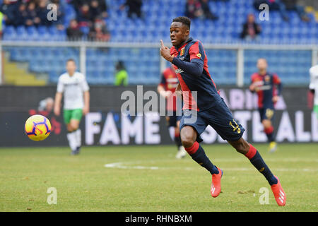 Genova, Italia. 03Feb, 2019. Foto LaPresse - Tano Pecoraro03 02 2019 Genova - (Italia)Sport CalcioGenoa vs SassuoloCampionato di calcio di Serie A TIM 2018/2019 - Stadio "Luigi Ferraris"nella foto: kouame christianPhoto LaPresse - Tano Pecoraro03 febbraio 2019 Città Genova - (Italia)Sport SoccerGenoa vs SassuoloItalian Football Championship League A TIM 2018/2019 - "Luigi Ferraris" Stadiumin il pic: kouame credito cristiana: LaPresse/Alamy Live News Foto Stock