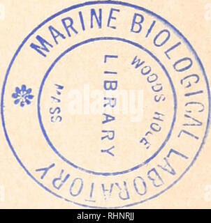 . Il bollettino biologico. Biologia; Zoologia; biologia; biologia marina. Il Biologico bollettino pubblicato dal laboratorio biologico marino Redazione John M. Anderson, Cornell University ARTHUR L. COLWIN, Queens College di New York DONALD P. COSTELLO, Università della Carolina del Nord e PHILIP B. DUNHAM, Syracuse University FRANK M. FISHER, JR., Rice University CATHERINE HENLEY, Università della Carolina del Nord e Robert K. JOSEPHSON, Case Western Reserve University CHARLES B. METZ, University of Miami LEONARD NELSON, Stato di Toledo College of Medicine HOWARD A. SCHNEIDERMAN, Case Western Reserve Universi Foto Stock