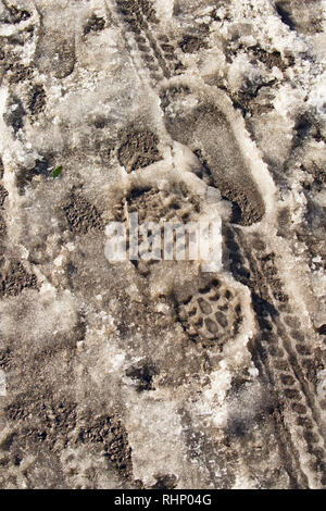 Footprint e pneumatico di una bicicletta segni su una coperta di neve marciapiede durante il gelo. Nord Inghilterra Dorset Regno Unito GB Foto Stock