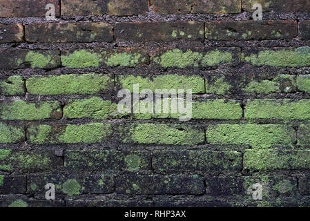 Vecchi muri di mattoni con un lichene texture Foto Stock