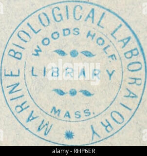 . Il bollettino biologico. Biologia; Zoologia; biologia; biologia marina. Bollettino biologico del flDarine Xaboratorj biologica) di Woods Hole, mass. VOL. LV luglio, 1928 n. i. Contenuto trentesima relazione annuale del laboratorio biologico marino pubblicato mensilmente dal laboratorio biologico marino STAMPATO E RILASCIATO DA LANCASTER PRESS, INC. LANCASTER, PA. Agente per la Gran Bretagna WHELDON &AMP; WESLEY, limitata 2, 3 e 4 Arthur Street, New Oxford Street, Londra, W. C. 2 numeri singoli, S1.OO. Per Volume &LT;6 numeri), S4.5O inserito ottobre 10,1902. a Lancaster. Pa., di seconda classe materia sotto un Foto Stock