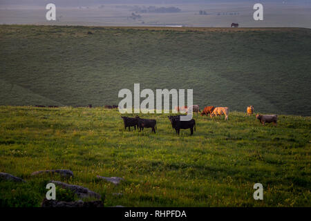 La Contea di Greenwood Foto Stock