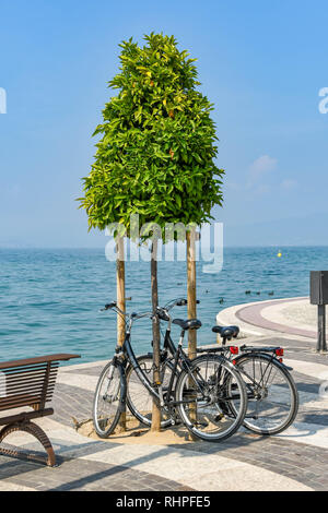 LAZISE, LAGO DI GARDA, Italia - Settembre 2018: Due biciclette a sinistra fino contro un albero sul lungomare di Lazise sul Lago di Garda. Foto Stock