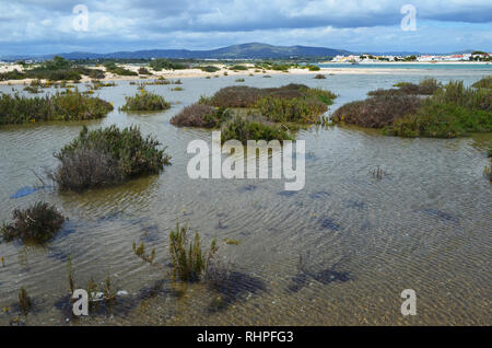 Le saline in Armona island, parte del Parco naturale di Ria Formosa nella regione dell'Algarve del Portogallo sudoccidentale Foto Stock