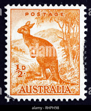 AUSTRALIA - circa 1942: un timbro stampato in Australia mostra canguro, Macropodidae, Australian Wildlife, circa 1942 Foto Stock