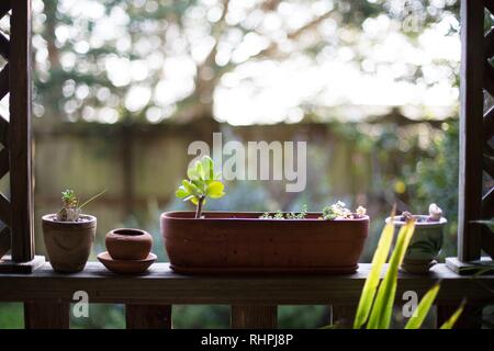 Piante su un portico rampa. Foto Stock