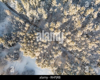 Bella vista aerea di neve coperta di foreste di pini e di un avvolgimento su strada tra alberi. Rime ghiaccio e gelo trasformata per forte gradiente di alberi di copertura. Scenic paesaggio invernale nea Foto Stock