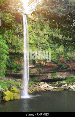 Misol Ha cascate nel lussureggiante foresta pluviale nei pressi di Palenque, Chiapas, Messico Foto Stock