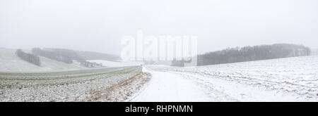 Campo di neve e sporco panorama su strada Foto Stock