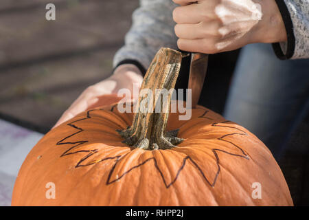 Donna carving zucca di Halloween jack di testa, primo piano Foto Stock