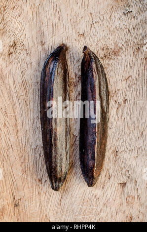 La vaniglia seedpods Foto Stock