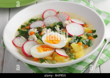 Zuppa di primavera con spinaci, patata, carota, cavolfiore, Rafano, pisello verde e uova sode Foto Stock