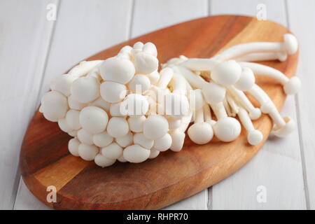 Mazzetto di greggio funghi shimeji conosciuto anche come bianco di funghi di faggio su un tagliere di legno Foto Stock