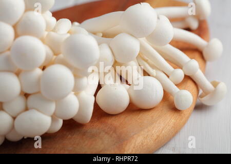 Mazzetto di greggio funghi shimeji conosciuto anche come bianco di funghi di faggio su un tagliere di legno Foto Stock