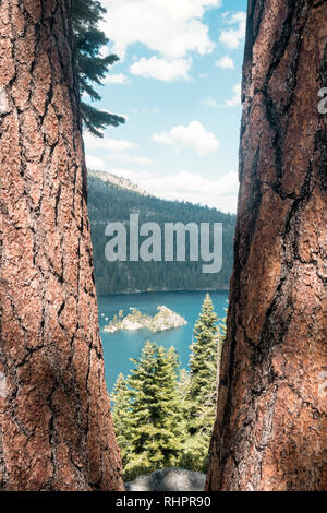 Fannette Island in Emerald Bay, il lago Tahoe, vista tra due alberi Ponderosa Foto Stock