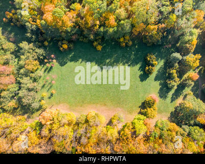 Antenna vista superiore del parco autunnali prato con giallo alberi luminosi e le loro ombre Foto Stock