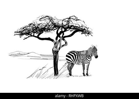 Zebra vicino ad un albero in Africa. Disegnata a mano illustrazione. Raccolta di disegnato a mano (illustrazioni originali, senza tastatura) Foto Stock