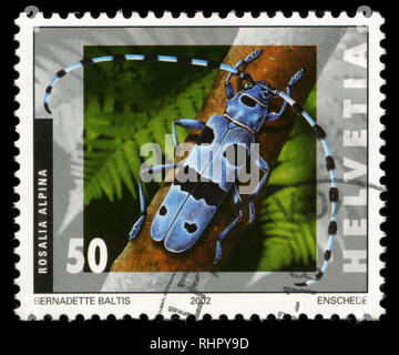 Francobollo dalla Svizzera nella serie di insetti emesso nel 2002 Foto Stock