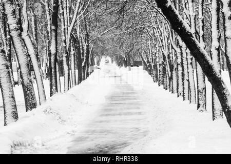 Park Alley in inverno. Immagine in bianco e nero di una passerella innevate nel parco. Inverno sfondo meteo Foto Stock