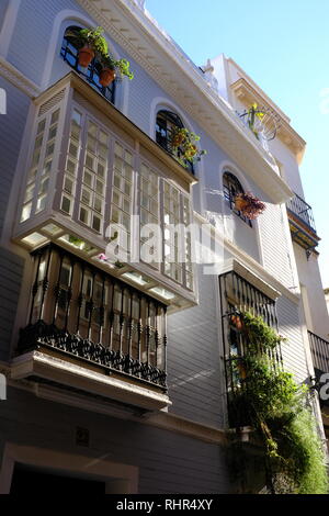 Bella boxed balcone in vetro sul pastello colorato di grigio shiplap placcati in legno casa immersa nella luce solare con finestre e piante Siviglia Spagna Foto Stock