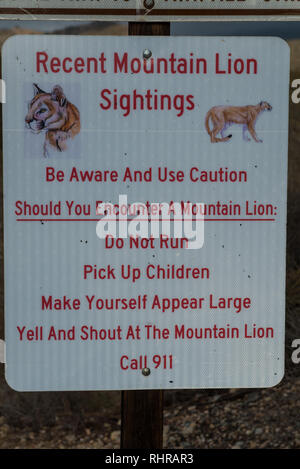 Avviso di segno per ultimi mountain lion avvistamenti in Claremont, California Foto Stock