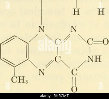 . La biochimica delle vitamine B. Vitamine; complesso di vitamina B. 676 LA BIOCHIMICA DI VITAMINE DEL GRUPPO B al giorno, limita la crescita di riboflavina-ratti carenti in misura molto maggiore che non la carenza di vitamina A da solo.51 Questa aspirazione di isoriboflavin quasi completamente inibisce la crescita effetto di promozione di 10 y al giorno di riboflavina, ma l'effetto inibitorio può essere impedita interamente mediante la somministrazione giornaliera di 40 y della vitamina.51 Isoriboflavin anche a concentrazioni 100.000 volte quella della riboflavina non inibisce la crescita del Lactobacillus casei; e un'attività trascurabile OH Foto Stock