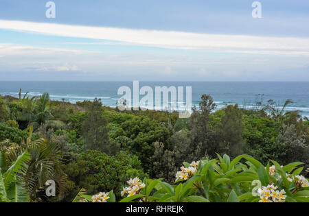 Shelly Beach, Est Ballina, Nuovo Galles del Sud, Australia Foto Stock