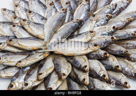 Grande Mucchio di essiccato mare salato roach stabiliti nella forma di un cerchio su uno sfondo bianco. Close-up Foto Stock