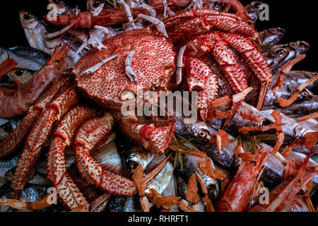 Big hairy granchio bollito siede su un mucchio di essiccato pesce salato su un regalo bouquet su sfondo nero. Immagine tonico, close-up Foto Stock