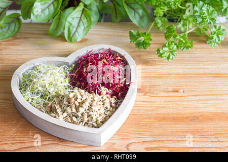 Germogli vegetali ed erbe nel cuore uno stile di vita sano e medicina alternativa nozione Foto Stock