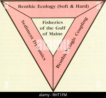 . Produttività bentonici e delle risorse marine del Golfo del Maine. Biologia Marina -- Maine, Golfo di; produttività primaria (biologia). La pesca. 225. Si prega di notare che queste immagini vengono estratte dalla pagina sottoposta a scansione di immagini che possono essere state migliorate digitalmente per la leggibilità - Colorazione e aspetto di queste illustrazioni potrebbero non perfettamente assomigliano al lavoro originale. Stati Uniti. National Oceanic and Atmospheric Administration). Ufficio di ricerca sottomarino; Babb, Ivar; De Luca, Michael. [Rockville, MD] (6010 Executive Blvd. , Suite 805, Rockville 20852) : U. S. Dept of Commerce, oceano nazionale Foto Stock