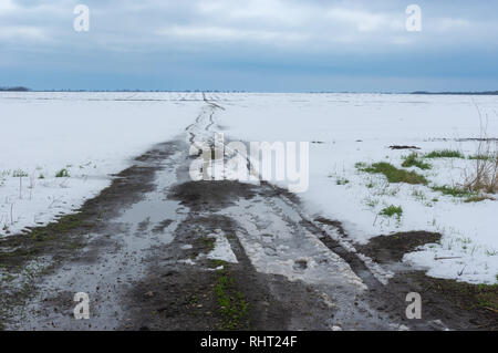 Spring agricultural landscape with an dirty road through winter crop fields in central Ukraine Foto Stock