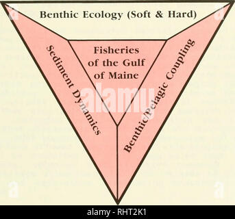 . Produttività bentonici e delle risorse marine del Golfo del Maine. Biologia Marina -- Maine, Golfo di; produttività primaria (biologia). Ecologia bentonici substrati duri. Si prega di notare che queste immagini vengono estratte dalla pagina sottoposta a scansione di immagini che possono essere state migliorate digitalmente per la leggibilità - Colorazione e aspetto di queste illustrazioni potrebbero non perfettamente assomigliano al lavoro originale. Stati Uniti. National Oceanic and Atmospheric Administration). Ufficio di ricerca sottomarino; Babb, Ivar; De Luca, Michael. [Rockville, MD] (6010 Executive Blvd. , Suite 805, Rockville 20852) : U. S. Dept of Commerce Foto Stock