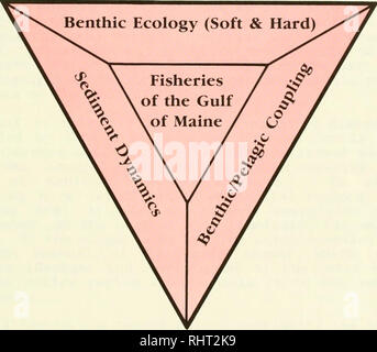 . Produttività bentonici e delle risorse marine del Golfo del Maine. Biologia Marina -- Maine, Golfo di; produttività primaria (biologia). Produttività bentonici e delle risorse marine del Golfo del Maine. VI 1. Si prega di notare che queste immagini vengono estratte dalla pagina sottoposta a scansione di immagini che possono essere state migliorate digitalmente per la leggibilità - Colorazione e aspetto di queste illustrazioni potrebbero non perfettamente assomigliano al lavoro originale. Stati Uniti. National Oceanic and Atmospheric Administration). Ufficio di ricerca sottomarino; Babb, Ivar; De Luca, Michael. [Rockville, MD] (6010 Executive Blvd. , Suite 805, ROC Foto Stock