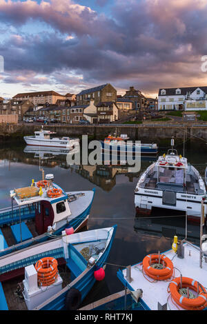 A nord del porto di Sunderland, Seahouses, Northumberland, Regno Unito Foto Stock