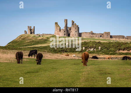 Il castello di Dunstanburgh, Northumberland, Regno Unito Foto Stock