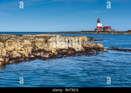 Faro di Longstone, farne Islands, Northumberland, Regno Unito Foto Stock