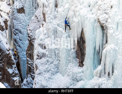 Ice Climber Kelly Cordes su un percorso in Ouray, Colorado Foto Stock