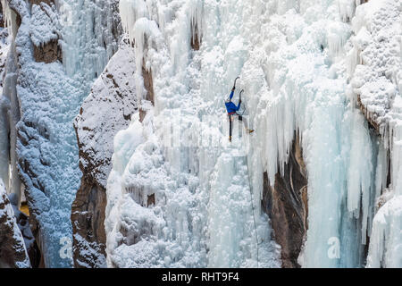 Ice Climber Kelly Cordes su un percorso in Ouray, Colorado Foto Stock