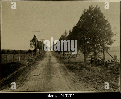 . Relazione biennale. Insetti nocivi e benefici. [Dal vecchio catalogo]. Fig. 3. Grandi cedri lungo le autostrade in Berkeley County.. Si prega di notare che queste immagini vengono estratte dalla pagina sottoposta a scansione di immagini che possono essere state migliorate digitalmente per la leggibilità - Colorazione e aspetto di queste illustrazioni potrebbero non perfettamente assomigliano al lavoro originale. West Virginia. Stato raccolto commissione di peste. [Dal vecchio catalogo]. Morgantown, W. Va. Foto Stock