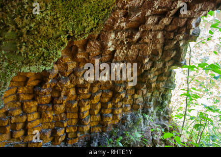 Coketown forno a coke rovine, Thomas, West Virginia Foto Stock